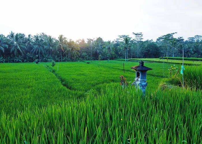 Villa Thani Ubud